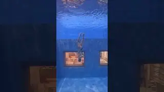 KOREA PADI performer mermaid 2025 course objective - underwater dance performance