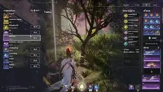 พีสต้าร์พิ้ง naraka 114