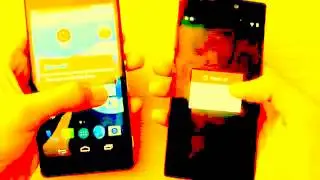 Qmobile Noir Z6/Gionee Elife S5.5 vs Sony Xperia Z2