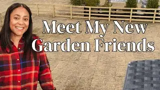 BIG NEWS! Garden Updates & Meet My New  Garden Friends