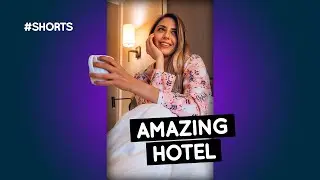 Would YOU stay at this Auckland hotel?! #Shorts