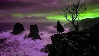 Velvet Cathedral