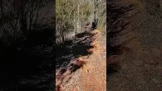 North Jawbone Peak #Victoria #Australia #outback #bushwalk #nature #asmr #travel #outdoors