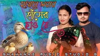 হায়রে মরার হাঁসের  🦆🪿🦆ছাও রে  hire morara hasher sawre  Bangla new song 