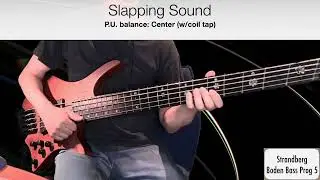 Strandberg Boden Bass Prog 5 - Coil tap Sounds!