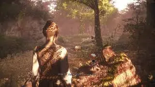 A Plague Tale Innocence Настраиваю первый стрим! Пока без вебки и