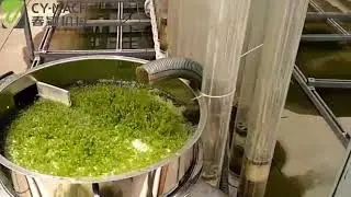 Green Tea Sieving Use High Frequency Vibration Screen