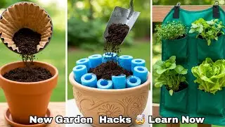 10 Dollar Tree Garden Hacks That Work in 2025 and Beyond