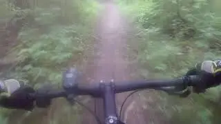 Holdridge North Trail At Holly Rec