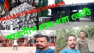 MY FAST MINI VLOGS.  PARADEEP FISHING HARBOUR. #fish #minivlog #fishing #fishinglife #fishingvideo