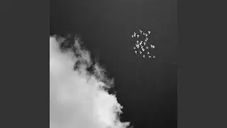 smoke signs