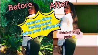 How To Remove Video Background without using green screen