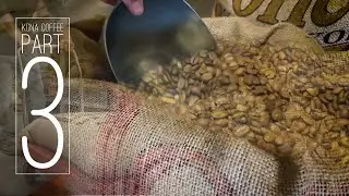 Kona Coffee Part 3