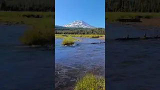Creekside serenity with mountain views and alpine summer beauty ☺️ #nature