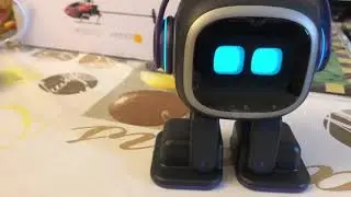 Emo Pet Robot finally arrived