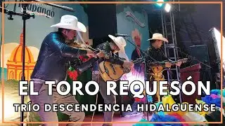 Trío Descendencia Hidalguense - El Toro Requesón y La Petenera
