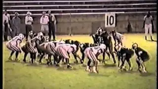 Last Football Season North Georgia Wolfpack 1992