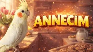 Kuşlar İçin Kelime Ezberi | 2 Saat ANNECİM Sesi