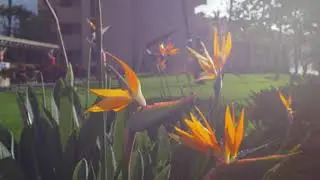 Kamaole Sands Resort