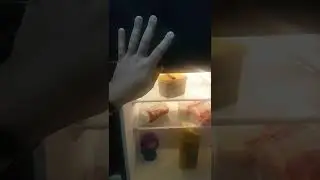review de 1 semana de uso do frigobar EOS Duplex.