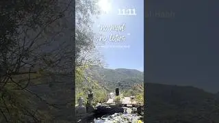 🕊️🪷963,1111,7284 | &laquo;Нет грязи &mdash; нет лотоса&raquo; | Как мы могли пребывать в доверии и в Божьей благода...