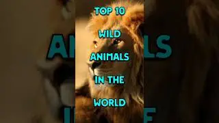TOP 10 WILD ANIMALS IN THE WORLD. #shorts# #viral# #youtube