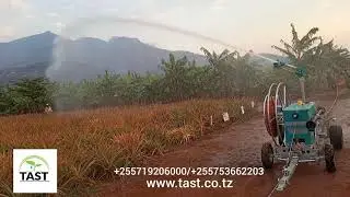 HOT SELLING IRRIFORCE MICO TD2000-300 (TWIN) FOR  IRRIGATION ON PENEAPLE #TAST #TANZANIA