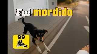 😱 Fui MORDIDO por cachorro de rua durante corrida na 99Moto! 🐕🚨