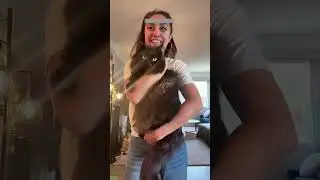 Cat Funny Videos 🐱 Funny Cat Videos 🐈&zwj;⬛ #FunnyCats #7989
