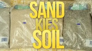 SAND, KIES oder SOIL - UNTERSCHIED & BESTE WAHL? | GarnelenTv
