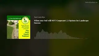 When your Soil will NOT Cooperate! | 2 Options for Landscape Success