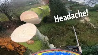 Removing two LARGE Spruces with a 5 man Crew | TIMBERWOLF 230VTR