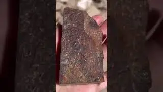 Gorgeous surprise inside this &ldquo;ugly&rdquo; rock