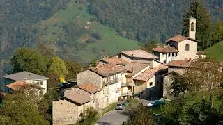 ALINO 19 01 2026