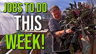 Garden Jobs I Must Do Ready For Spring | Getting Your Garden Ready For Spring