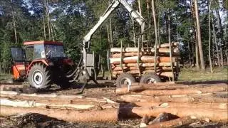 Zlepka prac leśnych /Jesień 2016
