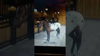 Star stable challenge🥳 #sso