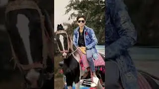 Horse Photoshoot Pose || #pose #shorts #horse