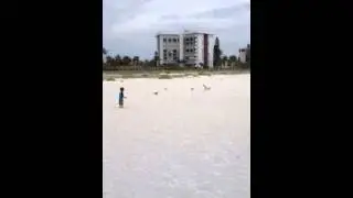 Beach run