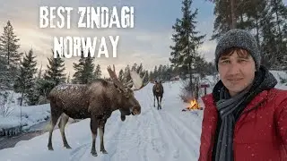 Best View Point in Norway 🇳🇴 | Pakistani Life in Norway