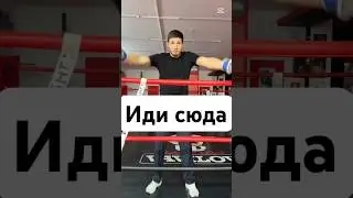 Ни шагу вперед #boxing #мем #юмор #тренды #boxer #тренер #memes #sports #motivation #humor #gym #fun