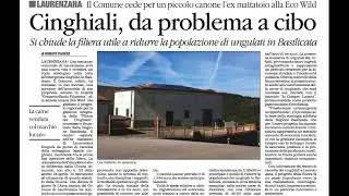 Cinghiali, da problema a cibo. L'ex mattatoio di Laurenzana al centro di un progetto regionale