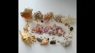 Готовая работа Dimensions Seashell Treasures 65035 Ракушки