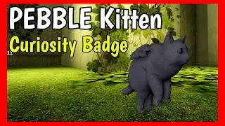 How to get PEBBLE Kittten in KITTEN GAME Roblox [ Curiosity Badge ]