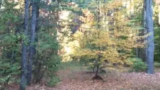 93 Deerhill, Brentwood NH 03833 - Single Family Home - Real Estate - For Sale -
