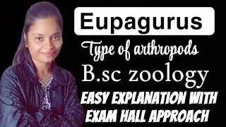 Eupagurus || type of Arthropods || b.sc || Zoology || university exams || college exams || 