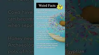 Weird and Fun Facts You Didn&rsquo;t Know