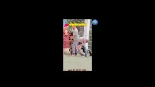 dog very very funny video  it's very dangerous /#would all in one /#all length