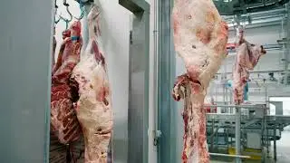 EU Good Food Good Life BEEF ENG