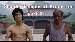 Ai Short Film Shaolin Temple of Bruce Lee part 3 